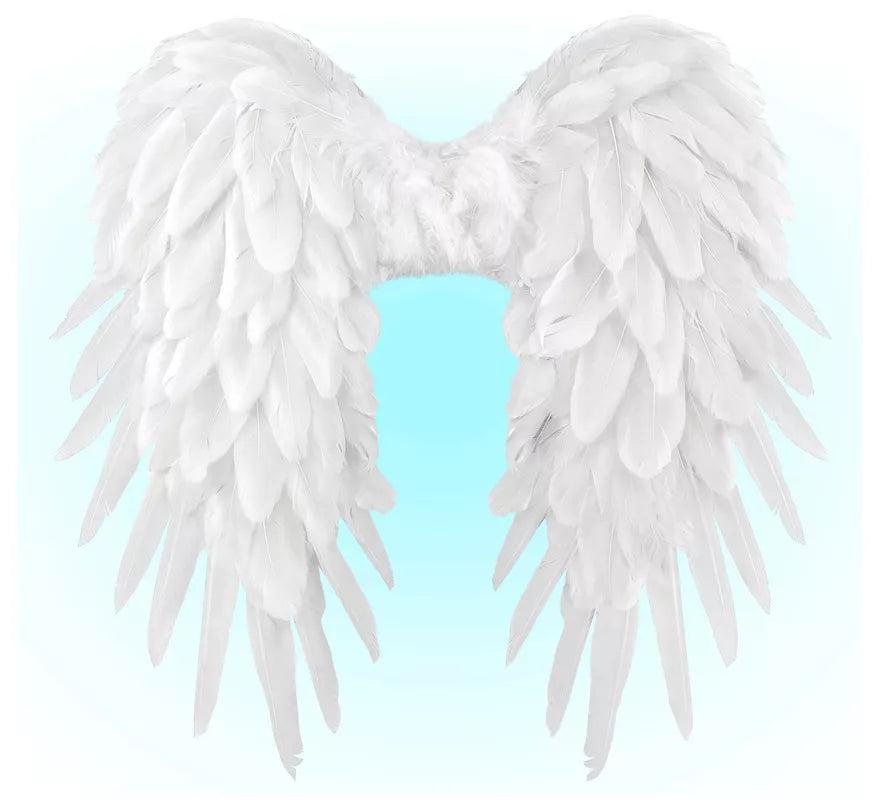 Alas con Plumas de 50x50 cm Plegables en varios colores