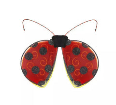 Ali di coccinella rosse e nere
