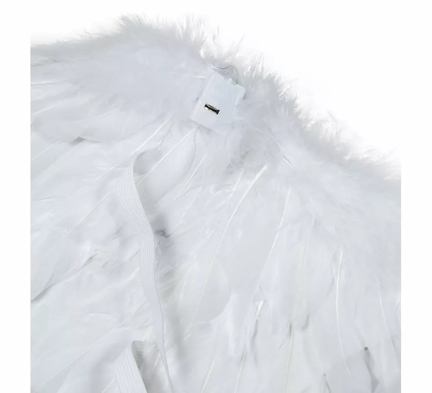 Translation missing: es.Alas de Plumas blanca con luz de 80x40 cm