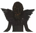 Alas de Plumas en varios colores de 62 cm