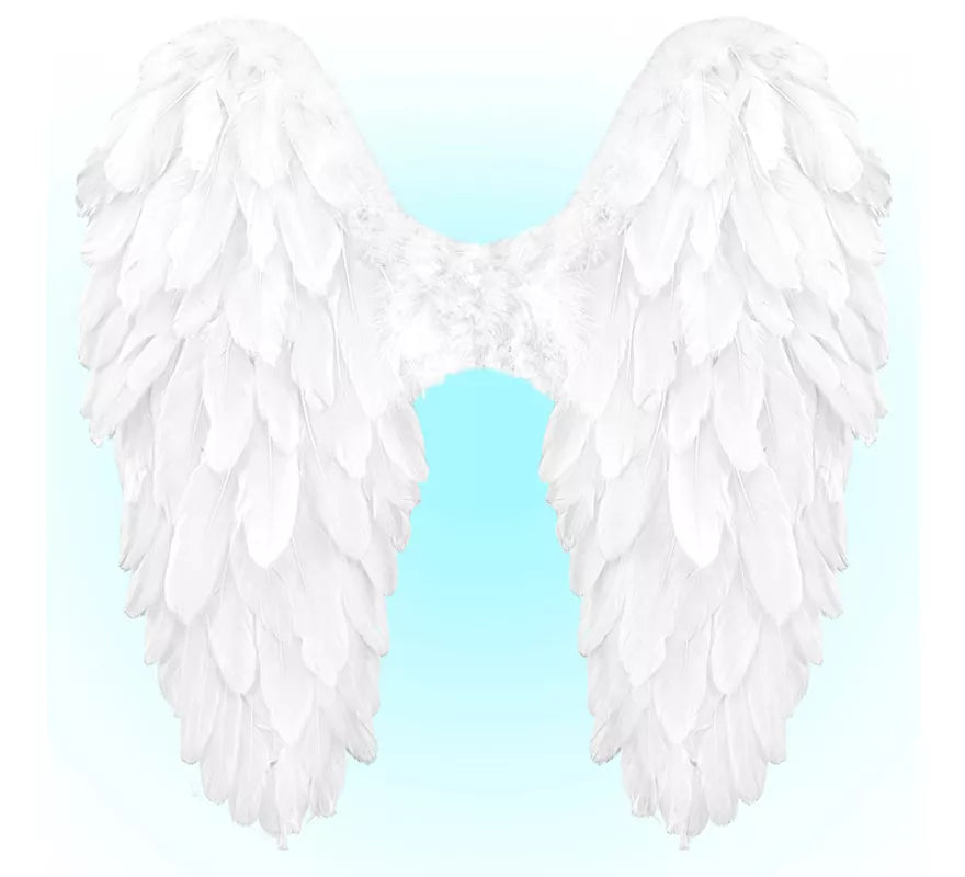 Translation missing: it.Alas Plegables de Plumas de 50x50 cm en varios colores