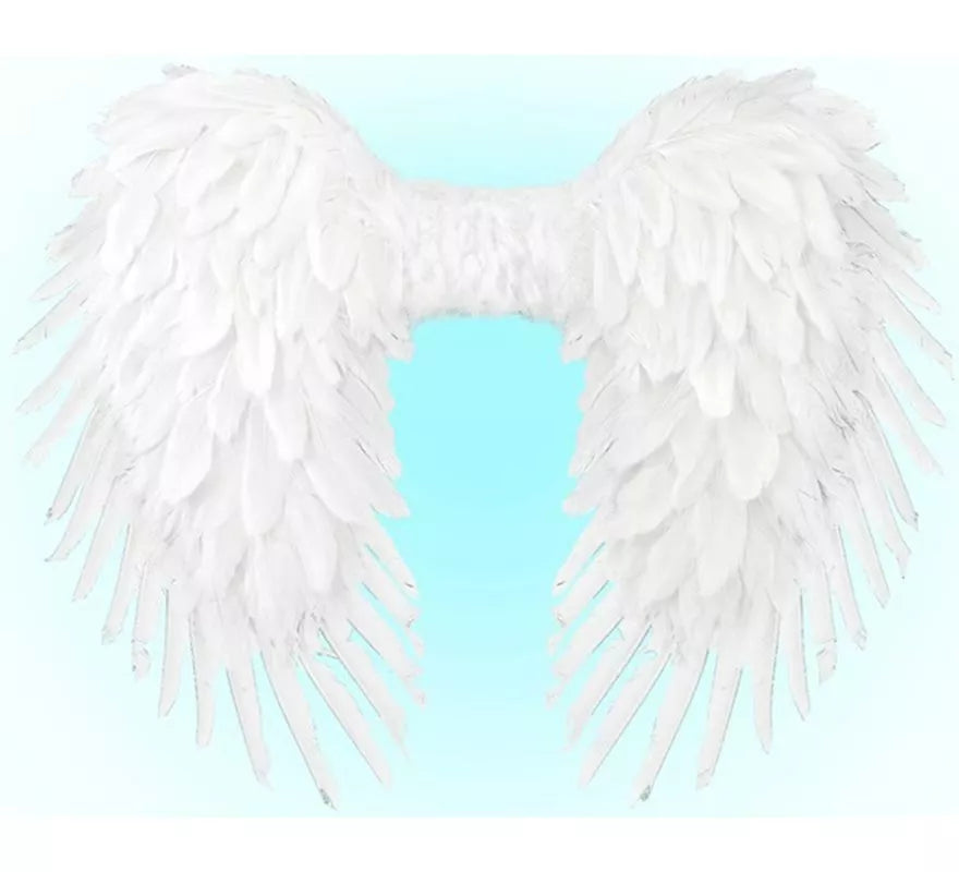 Translation missing: it.Alas Plegables de Plumas de 80x60 cm en varios colores