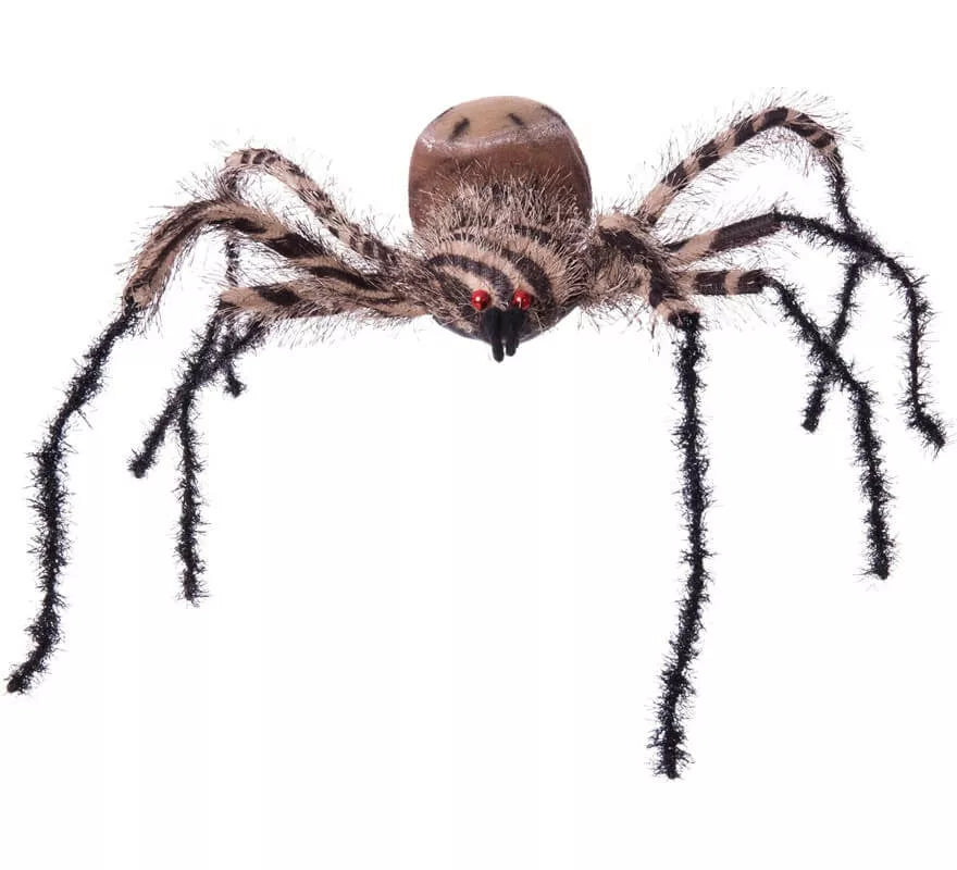 Translation missing: it.Araña Cebra Grande de 54x44x10 cm