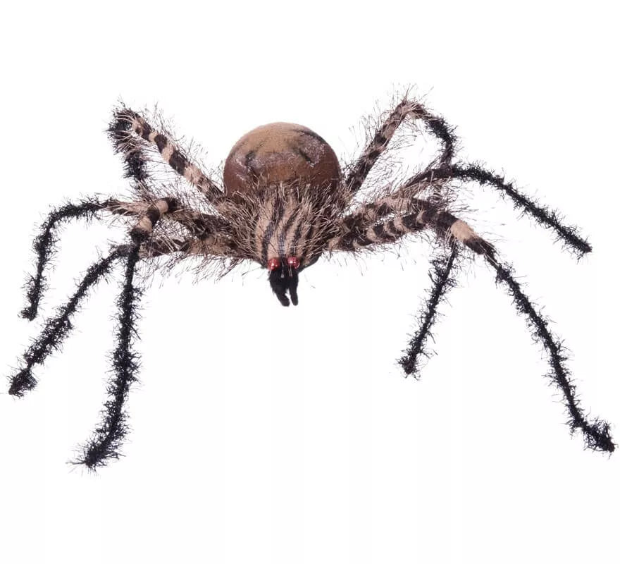 Translation missing: it.Araña Cebra Pequeña de 38x34x8 cm