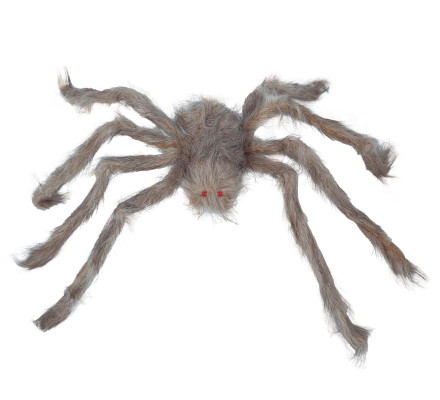Translation missing: it.Araña con Ojos Rojos 60 cm