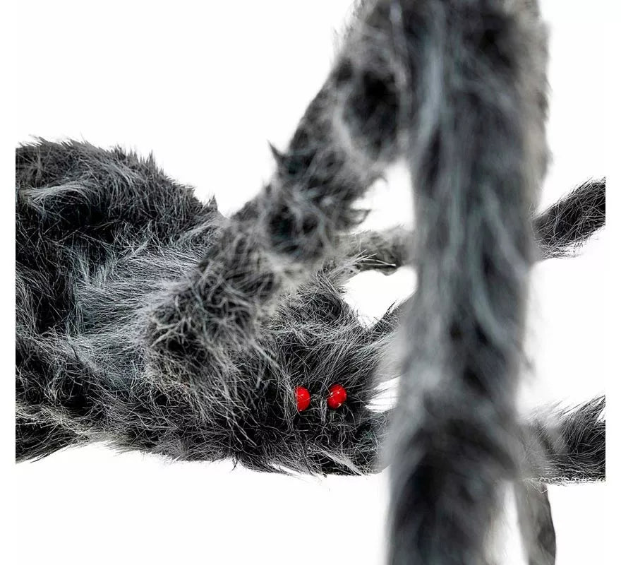 Translation missing: it.Araña gris patas largas y finas de 80x18x8 cm
