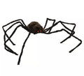 Araña marrón y negra con Luz de 150x100x17 cm