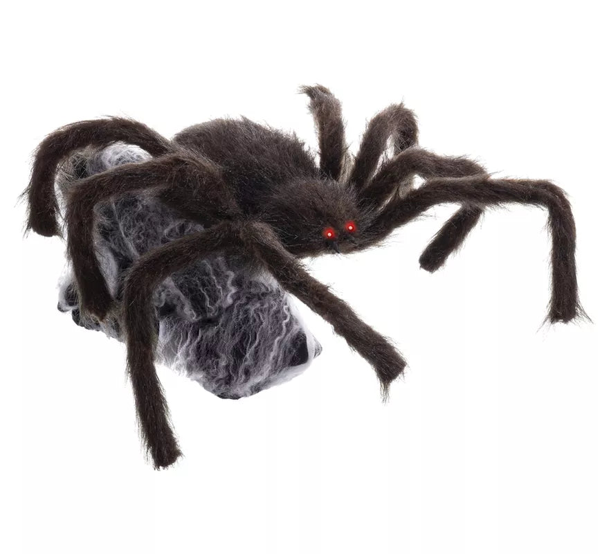 Translation missing: it.Araña marrón y negra de 28x50x70 cm