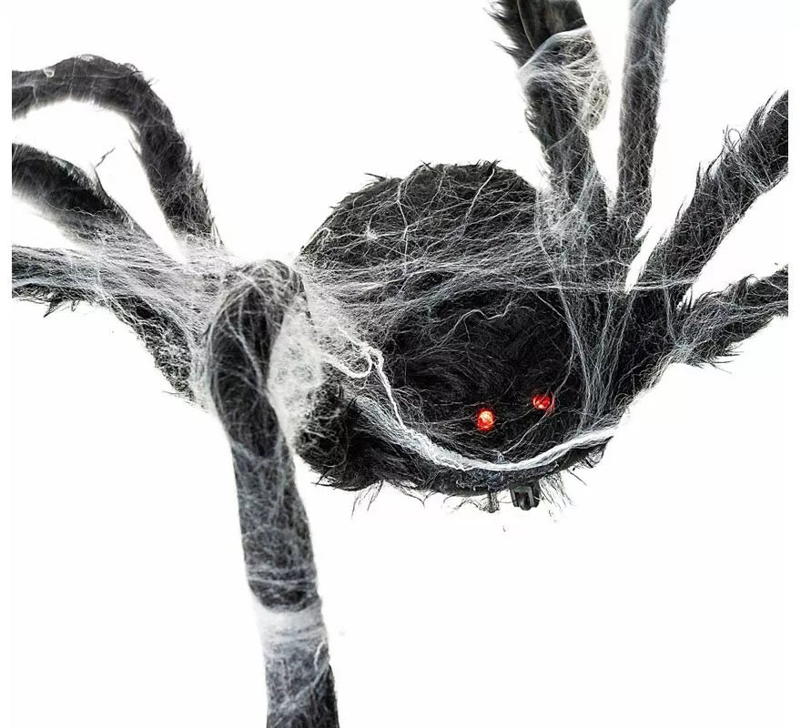 Translation missing: it.Araña negra Caminante con telaraña de 80x18x8 cm