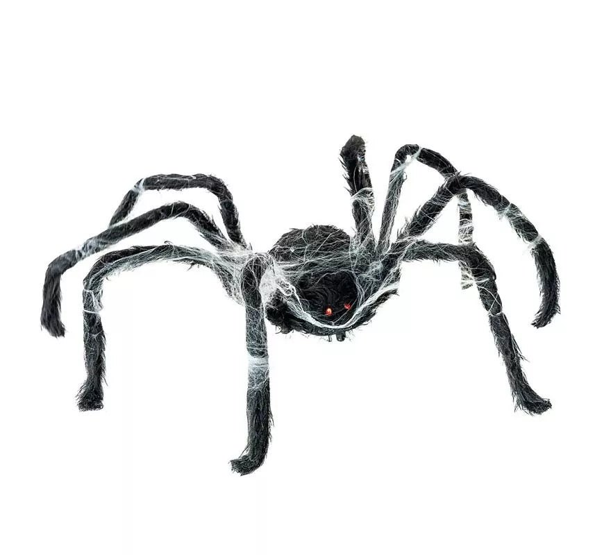 Translation missing: it.Araña negra Caminante con telaraña de 80x18x8 cm