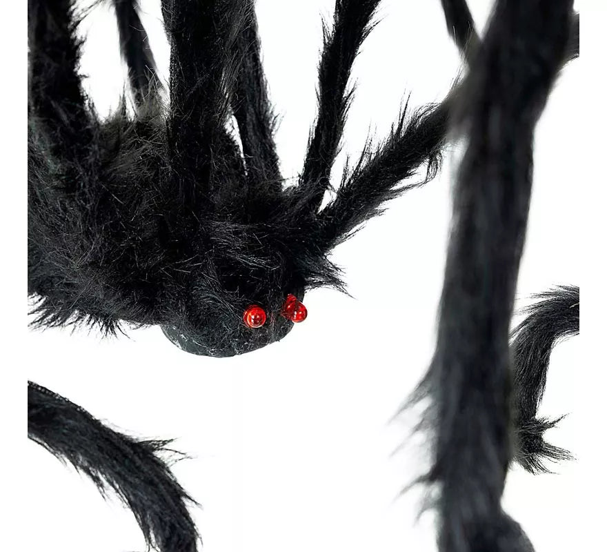 Translation missing: it.Araña negra patas finas de 28x43 cm
