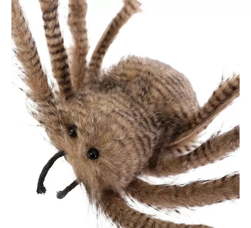 Translation missing: es.Araña Patas Largas de 138x70x25 cm