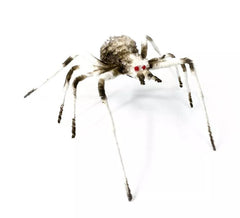 Ragno dalle gambe lunghe 6X58X17 cm