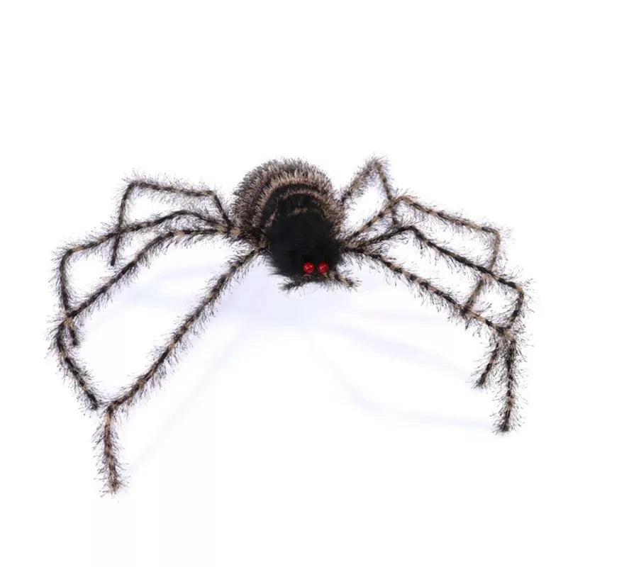 Translation missing: it.Araña peluda patas largas de 70 cm