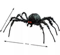 Araña Verde de Ojos rojos de 43x36 cm
