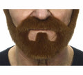 Barba castaña