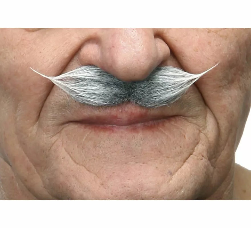 Bigote de Época canoso