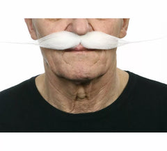 Grandi baffi bianchi