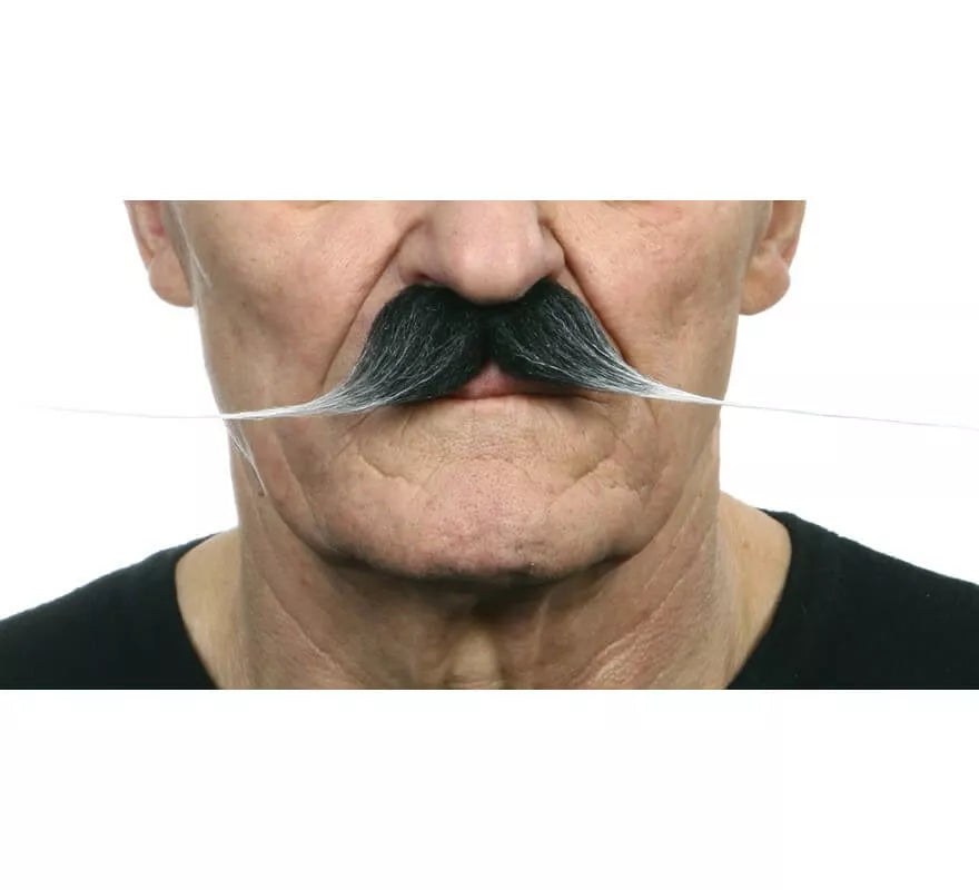 Translation missing: it.Bigote grande canoso