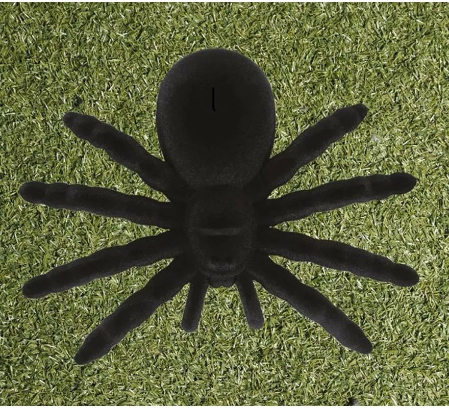 Blíster 1 Araña de 14 cm