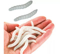 Blíster de 20 Gusanos Elásticos 4 cm