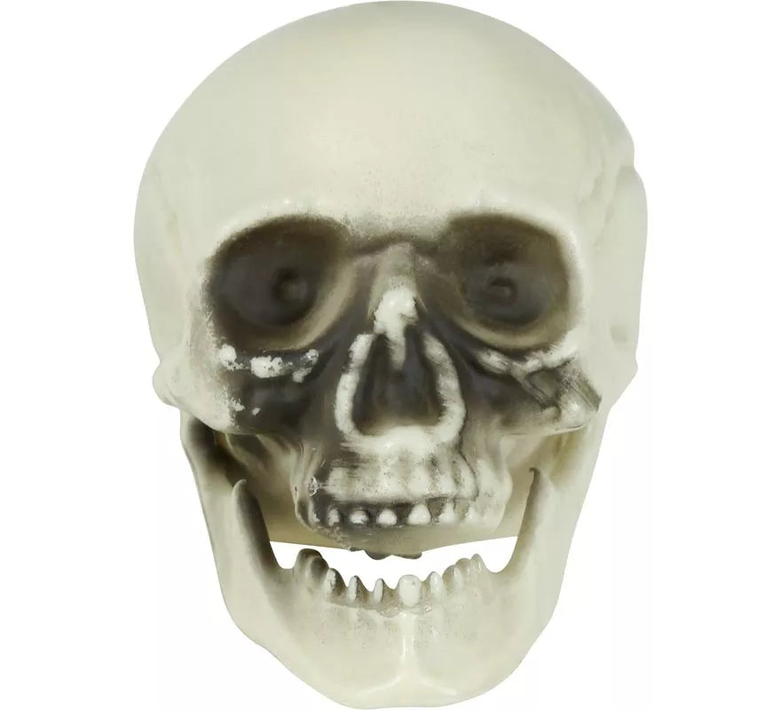 Translation missing: it.Bolsa 6 Calaveras de 6 cm