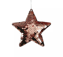 2 Stelle Paillettes borsa Malva 8 centimetri