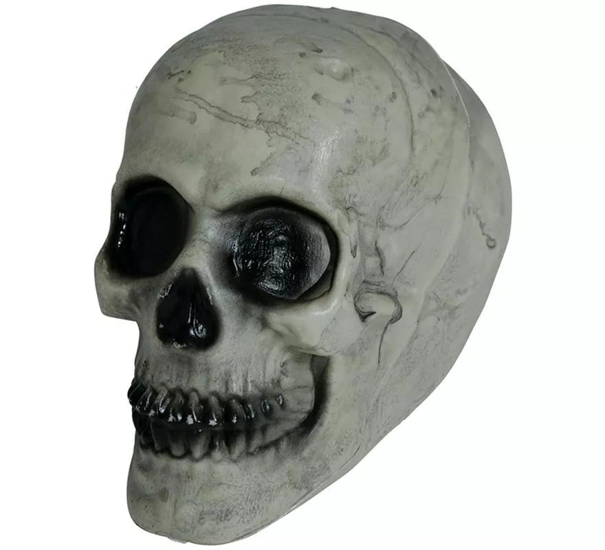 Translation missing: it.Calavera 20 cm