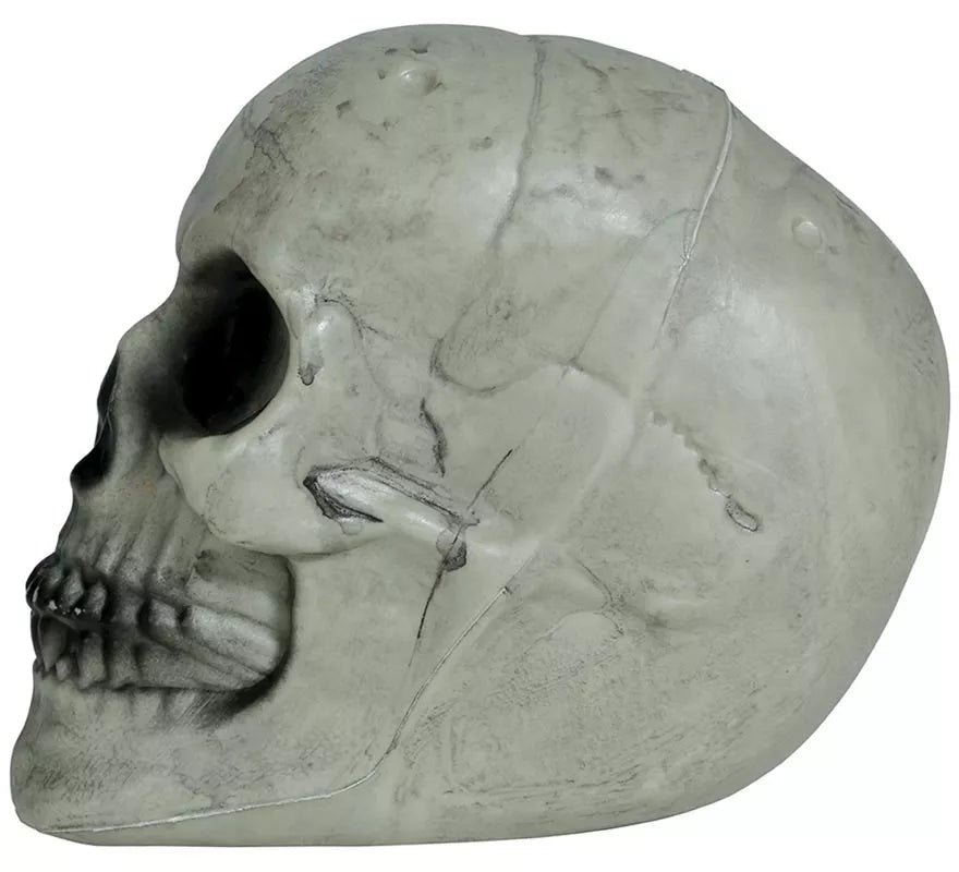 Translation missing: it.Calavera 20 cm