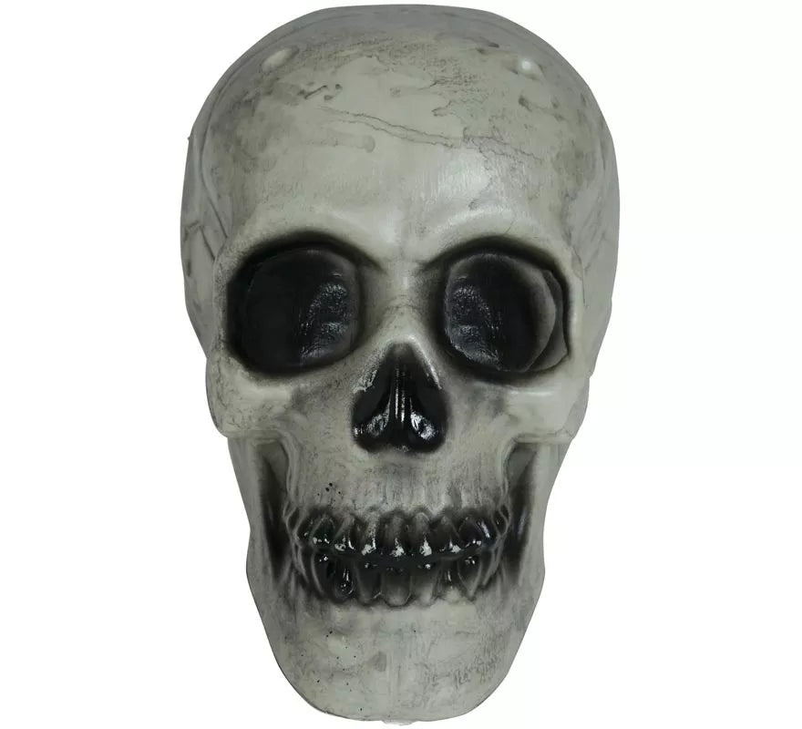 Translation missing: it.Calavera 20 cm