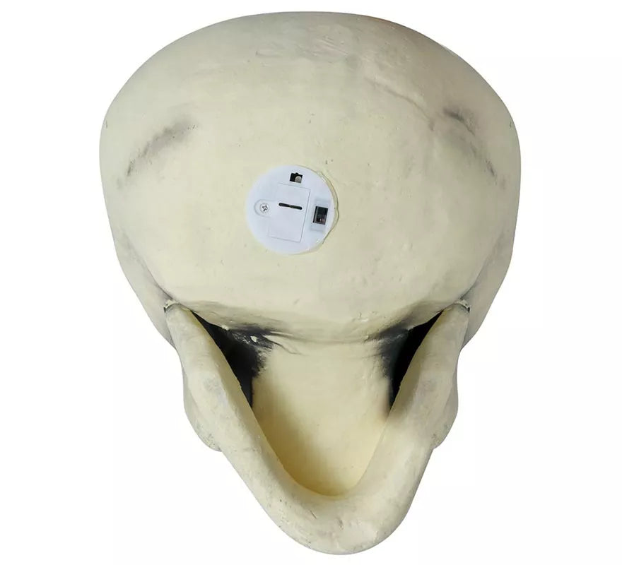 Translation missing: it.Calavera 32 cm de Foam