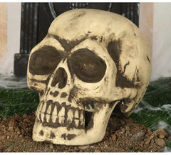 Cranio 32 cm di gomma piuma semi rigida