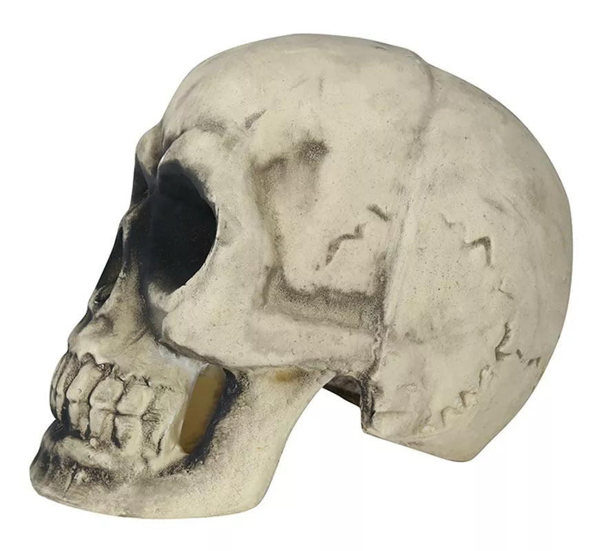 Translation missing: it.Calavera 32 cm de Foam