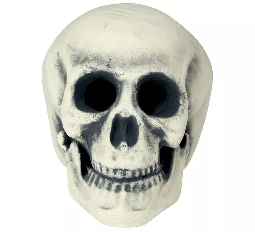 Translation missing: it.Calavera 32 cm de Foam