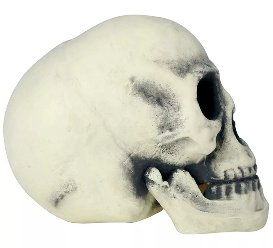 Translation missing: it.Calavera 32 cm de Foam