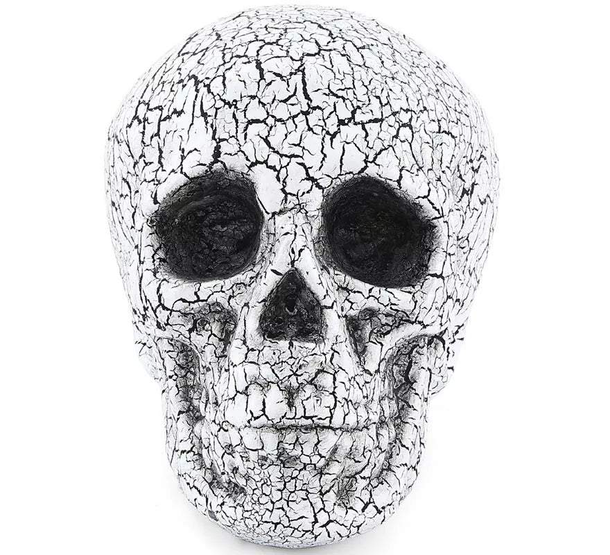 Translation missing: it.Calavera Agrietado de 20x15 cm