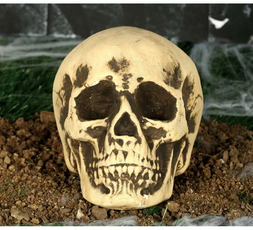 Translation missing: it.Calavera Amarillenta 17 cm