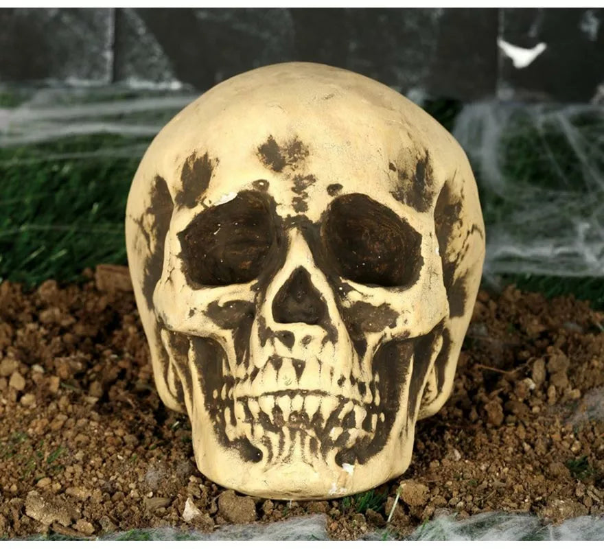 Translation missing: it.Calavera Amarillenta 17 cm