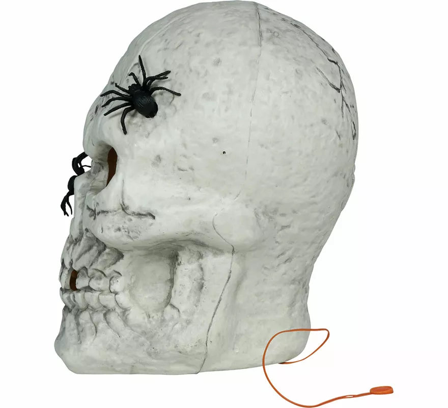 Calavera con Arañas con Luz de 35 cm