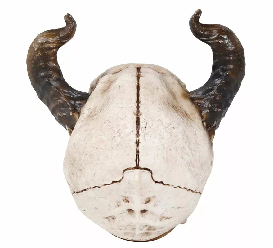 Translation missing: it.Calavera con Cuernos de 20 cm