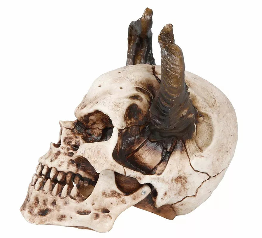Calavera con Cuernos de 20 cm