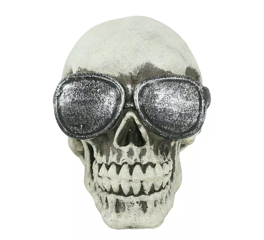 Calavera con Gafas Resina 11 cm