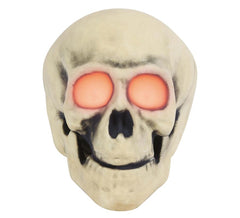 cranio Led con 30 cm