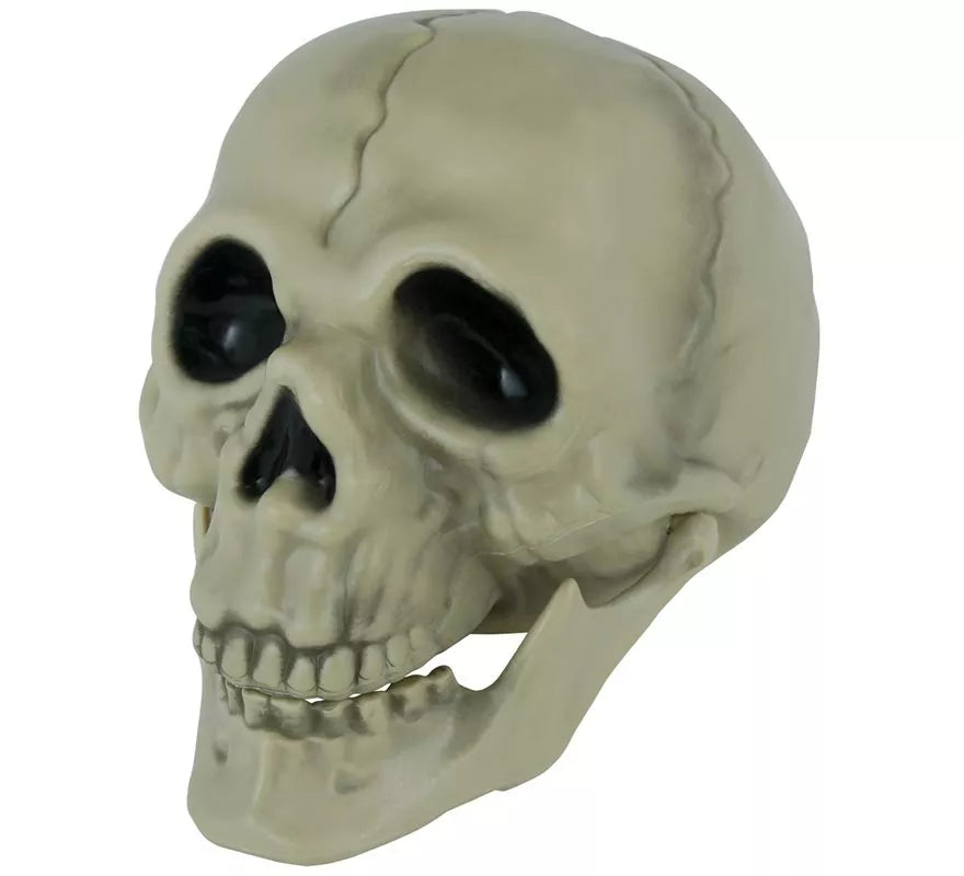 Translation missing: it.Calavera de 13 cm