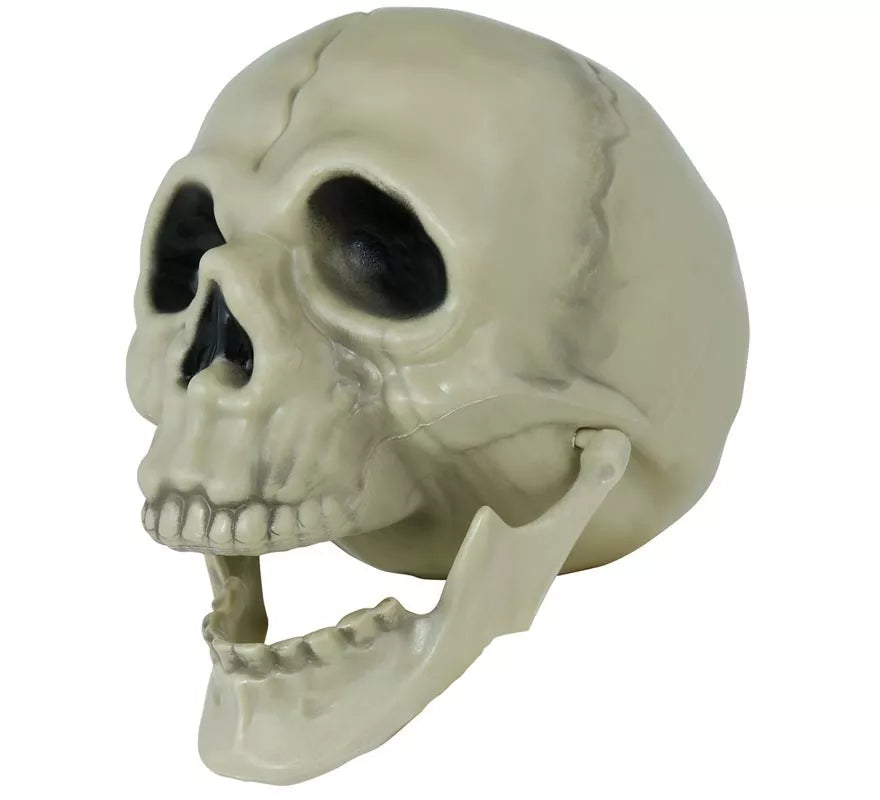 Calavera de 13 cm
