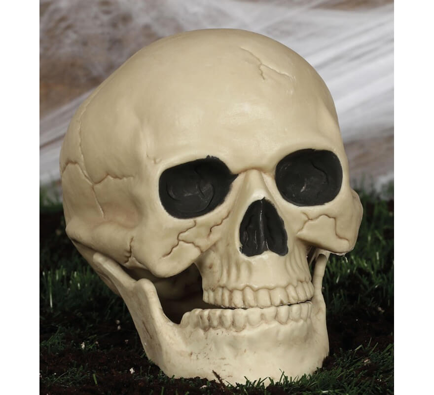 Translation missing: it.Calavera de 20 Cm