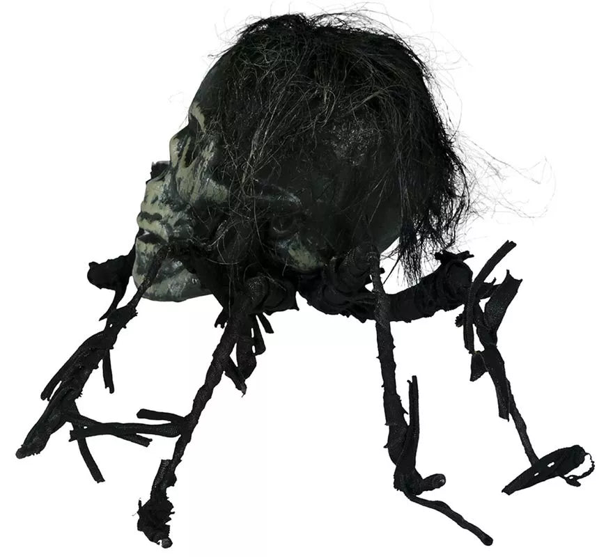 Calavera de Araña de 38 cm
