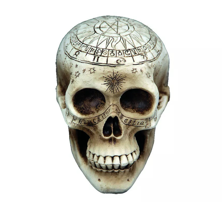 Translation missing: es.Calavera de Brujería con detalles de 20X14 cm