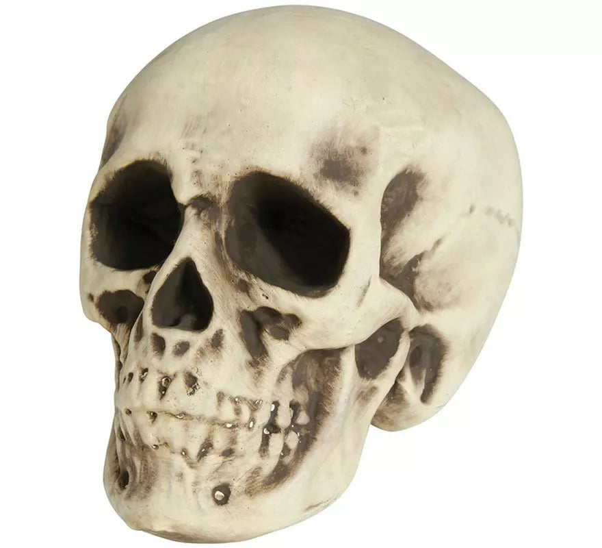 Translation missing: it.Calavera de Foam 20 cm