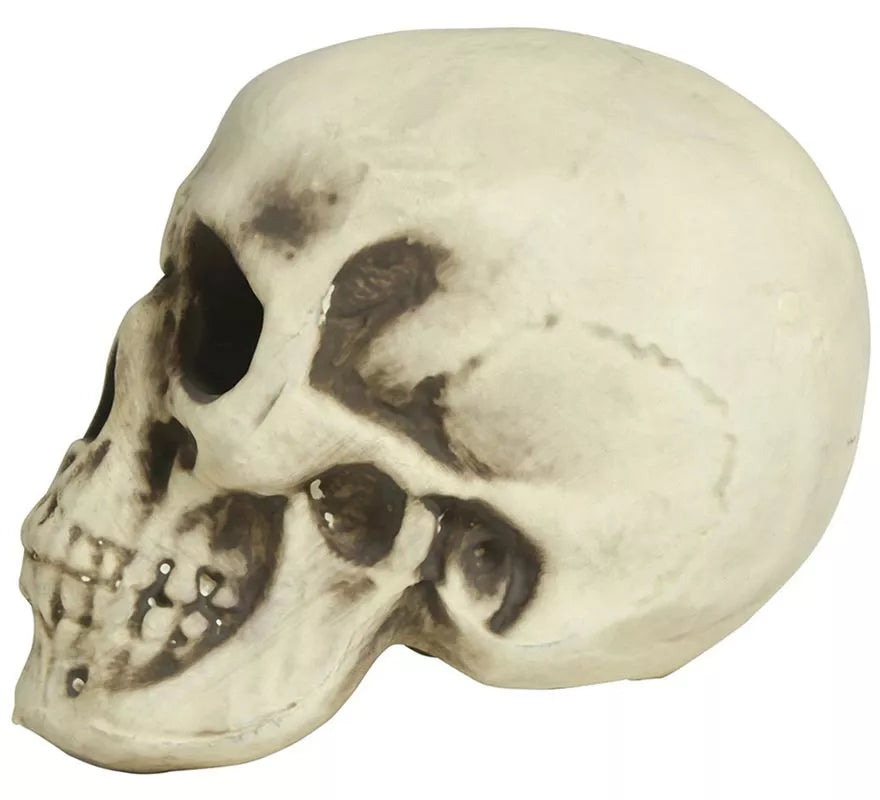 Translation missing: it.Calavera de Foam 20 cm